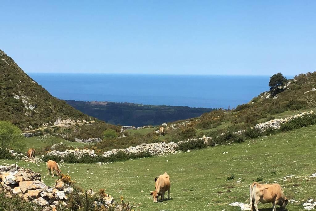 La Casona De La Bisa Сasa de vacaciones *