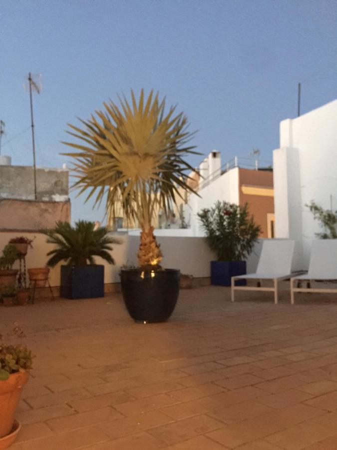 La Terraza De San Pedro Apartment