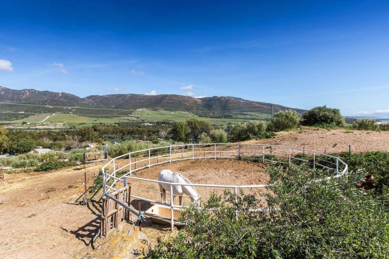 Casita Rural En Centro De Hipica *