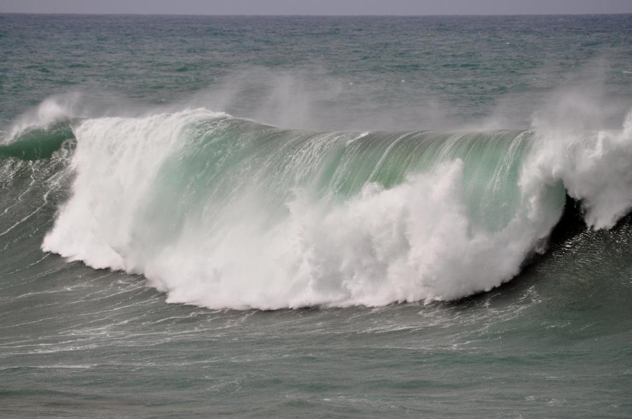 Wave *