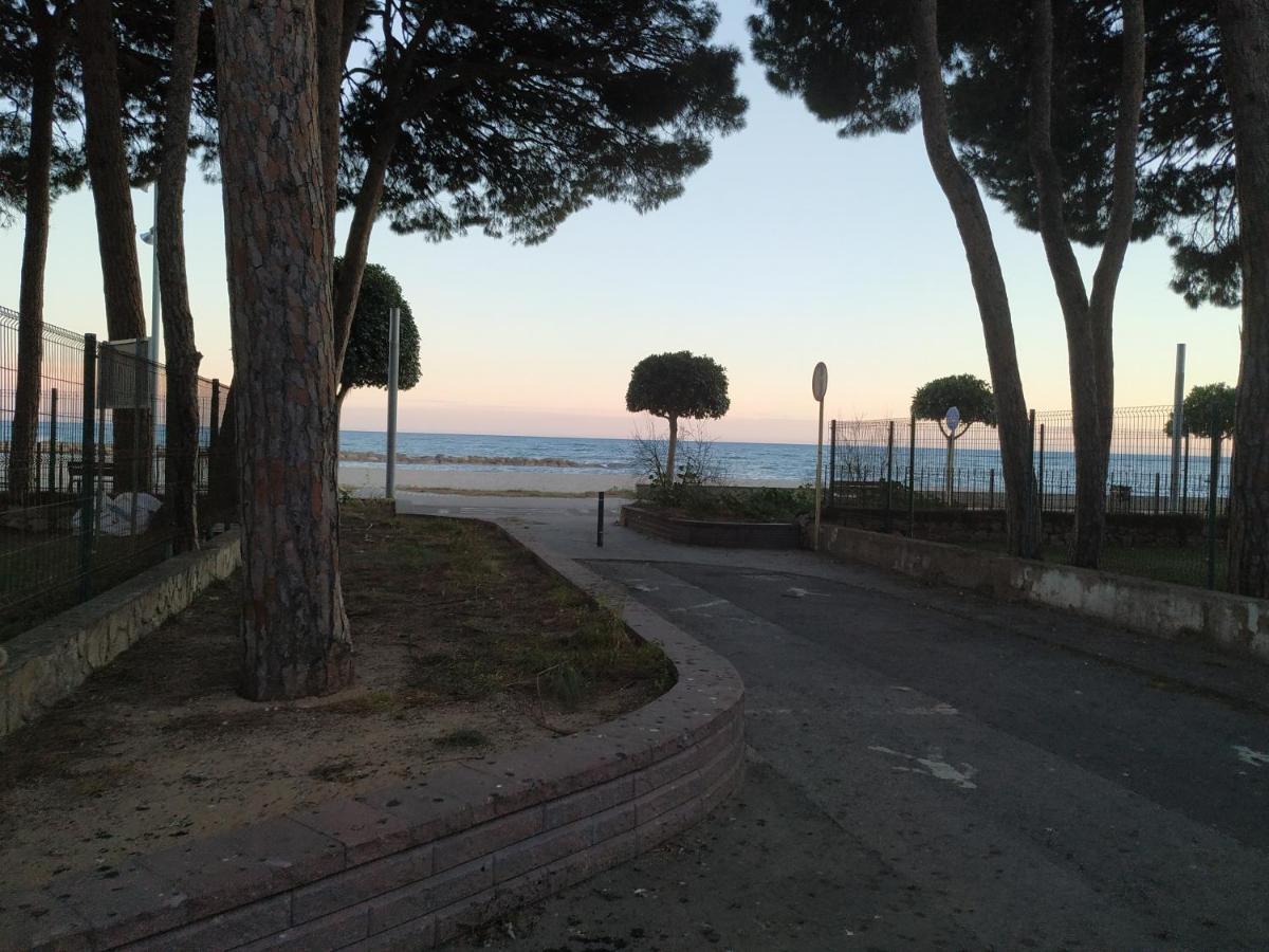 Panoramic