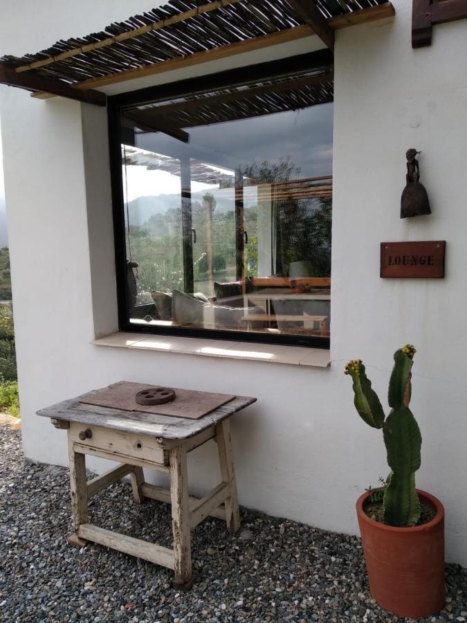 Villa The African House *