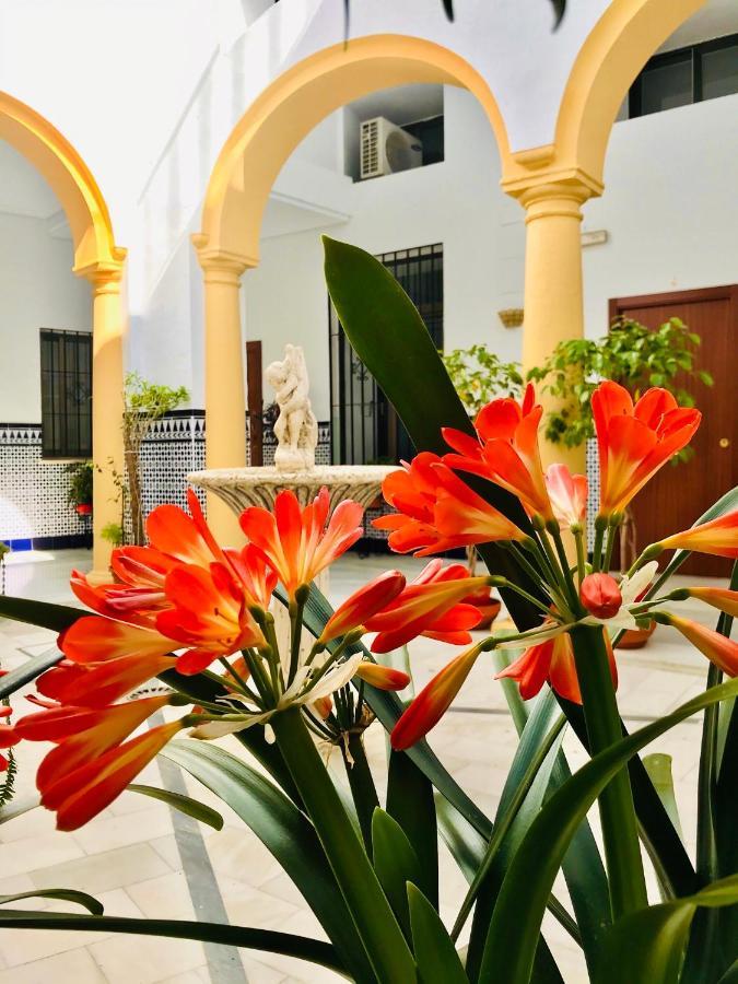 Apartment Fabuloso Loft En Centro Historico De Con Parking Bajo Reserva Tendillas Mezquita-catedral *