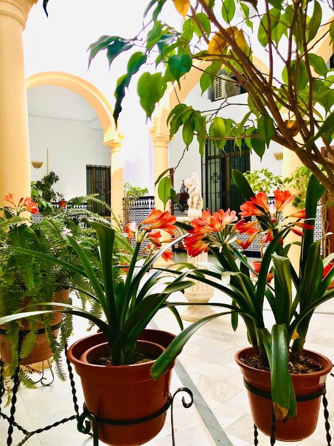 Fabuloso Loft En Centro Historico De Con Parking Bajo Reserva Tendillas Mezquita-catedral Apartment *