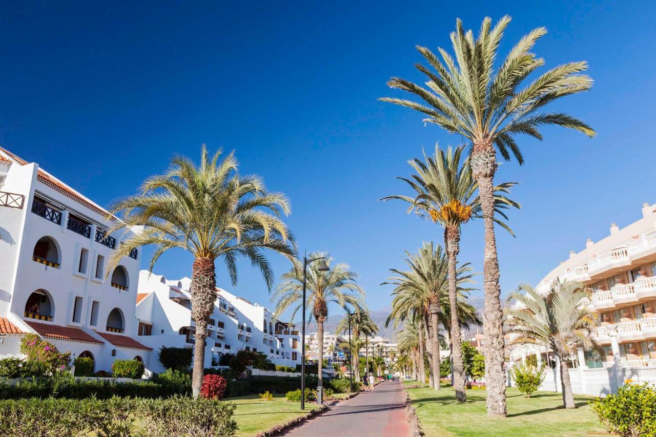 Apartamento Sara En Playa De Americas - Sara Vacation Arona (Tenerife)