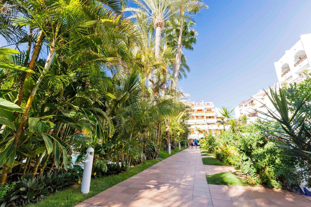 Apartment Apartamento Sara En Playa De Americas - Sara Vacation *