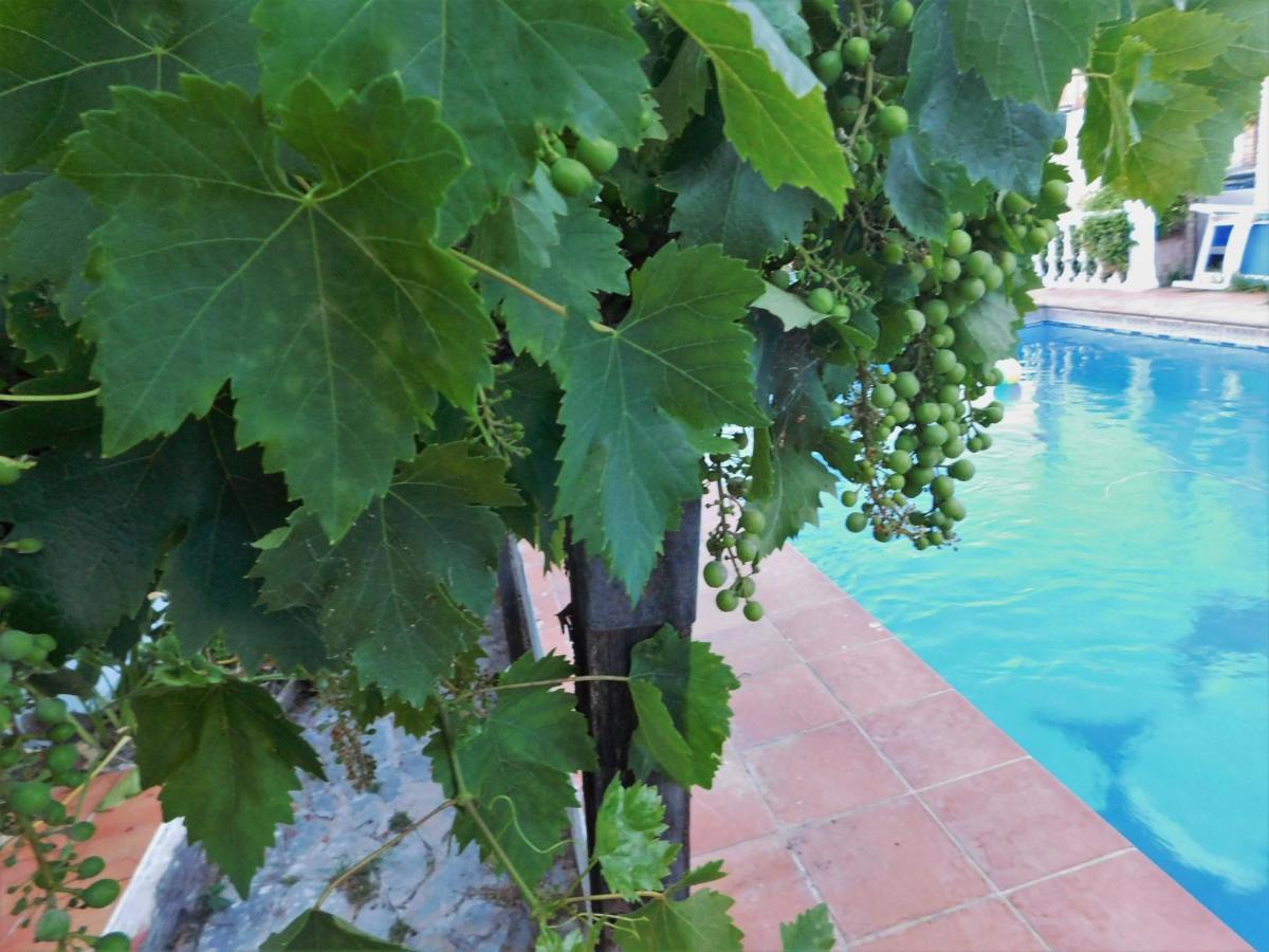 Bungalow Marbella (San Pedro Alcantara) Apartamento Marbella