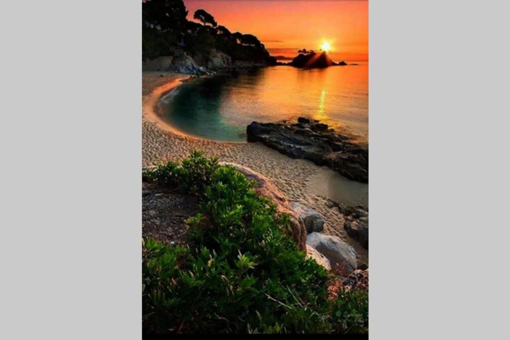 Tossa De Mar, Miramar Con Piscina *