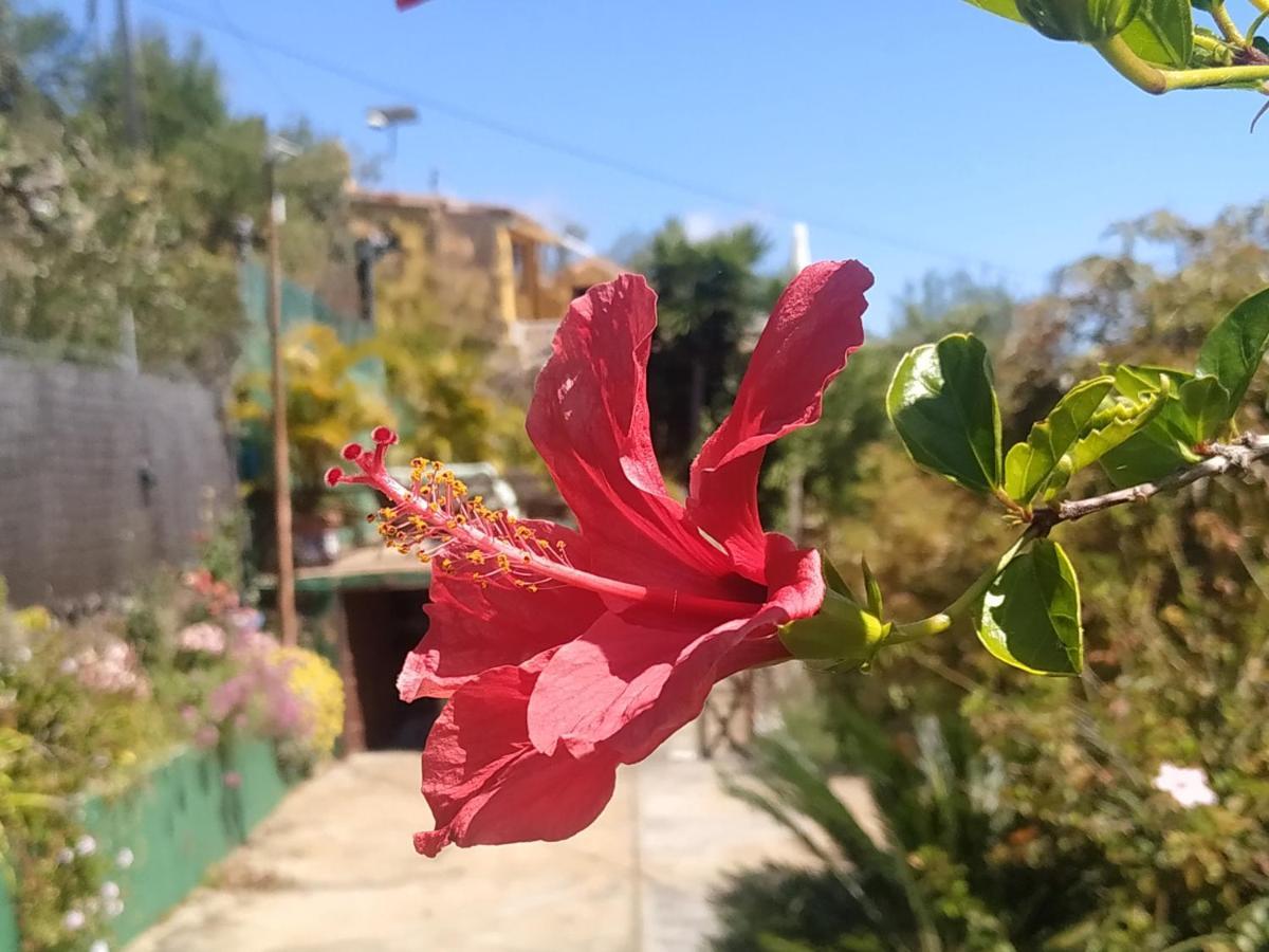 Casa Tata Tijarafe
