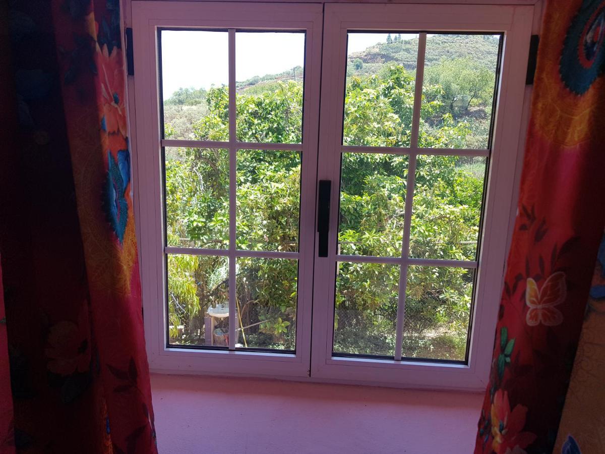 Сasa de vacaciones Finca Rural Torres Casas 1 Y 4 Vega de San Mateo