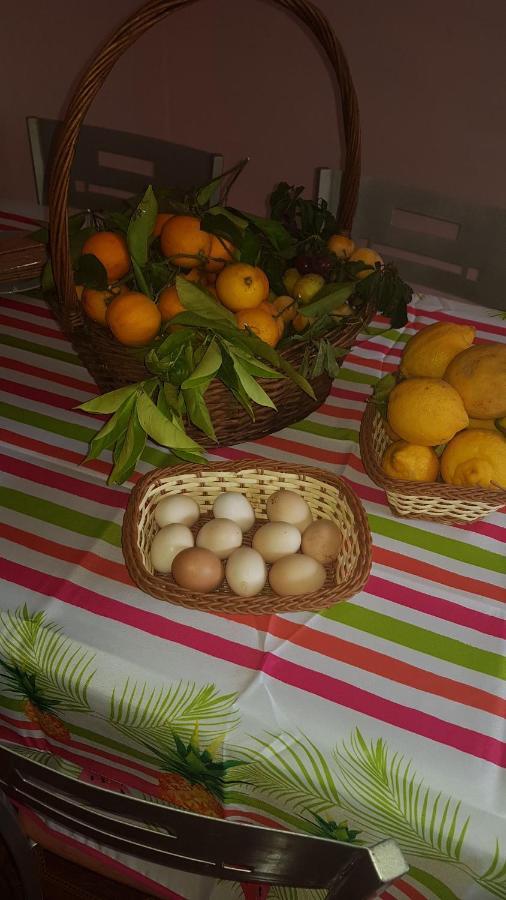 Сasa de vacaciones Finca Rural Torres Casas 1 Y 4