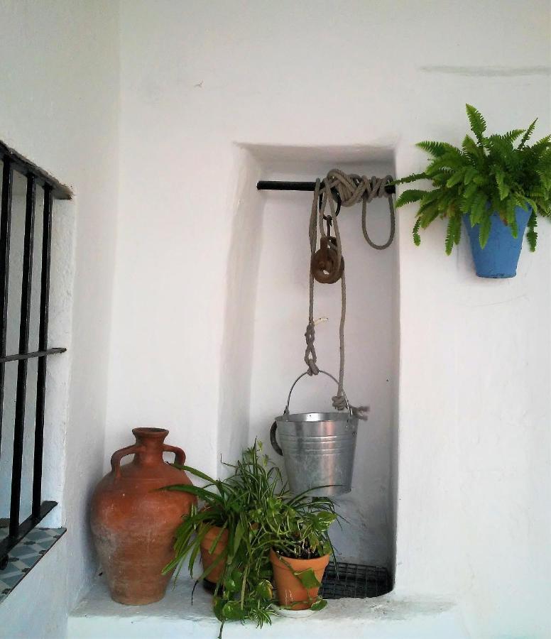 La Lectora Guest house