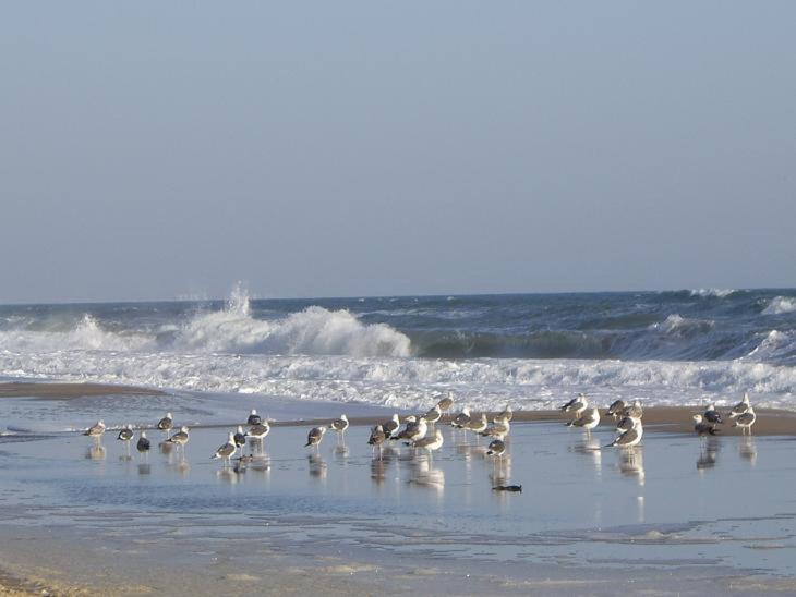 - Vivienda Planta Baja Cerca De La Playa Para 7 O 8 Pax La Antilla