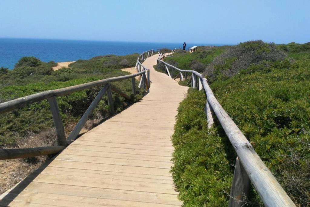 Apartment Conil Paraiso *