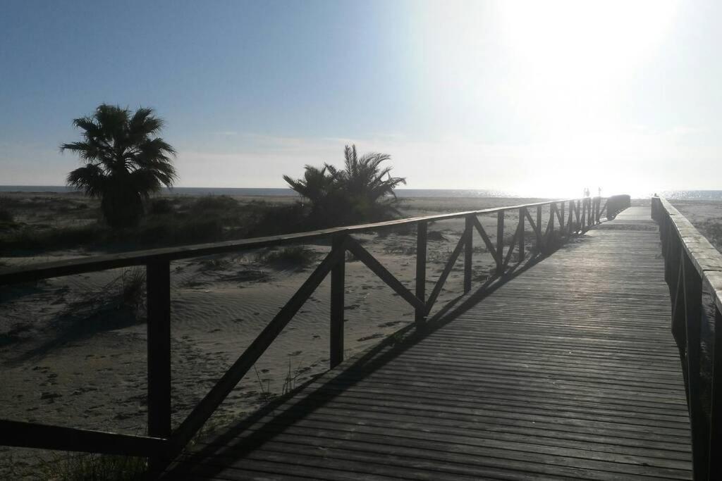 Conil Paraiso