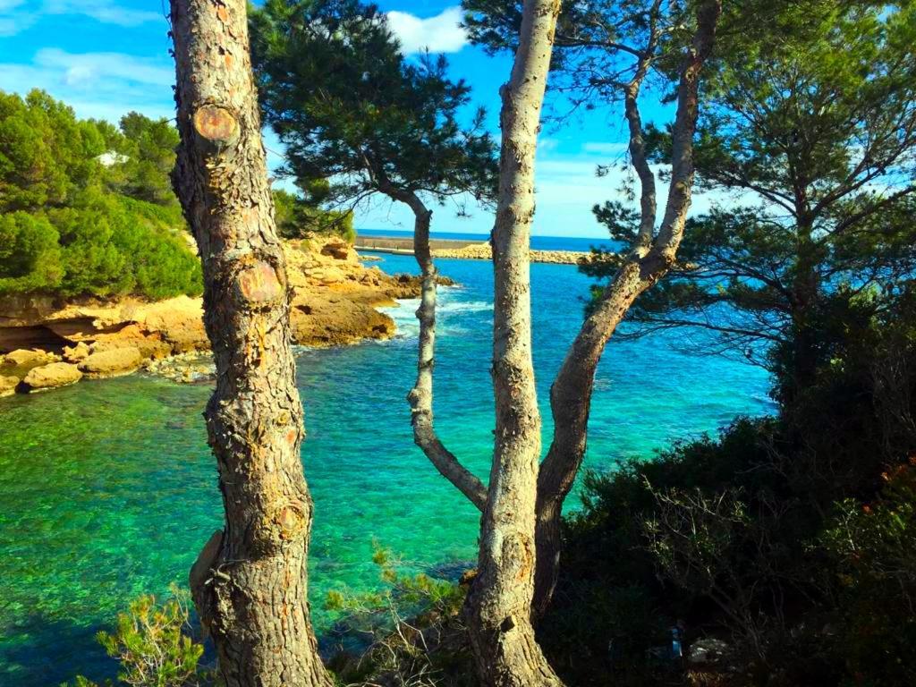 La Perla De La Ostra * Platja de l'Almadrava