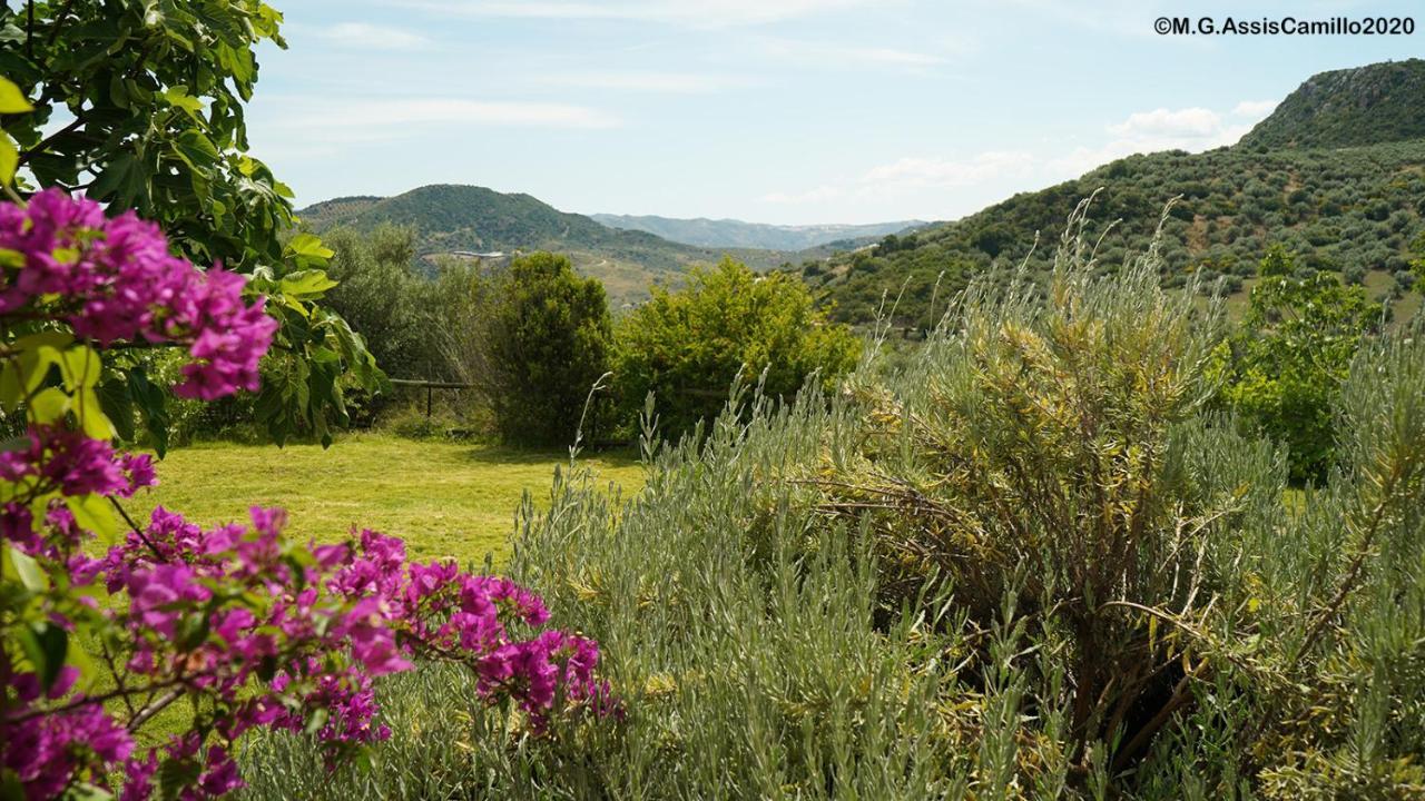 Casa La Negra * Periana