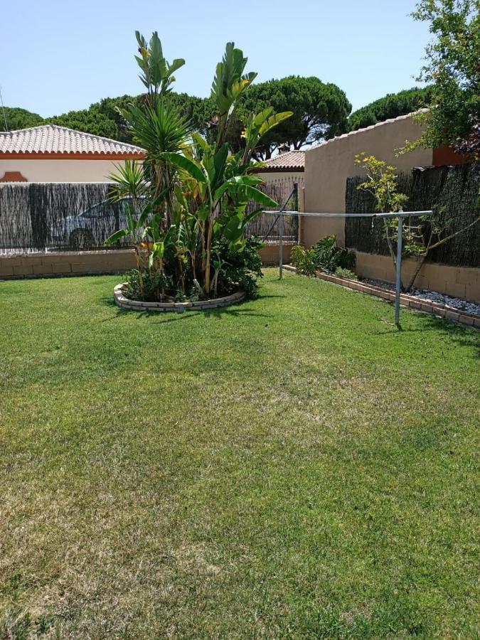Ada Con Jardin Y Piscina *