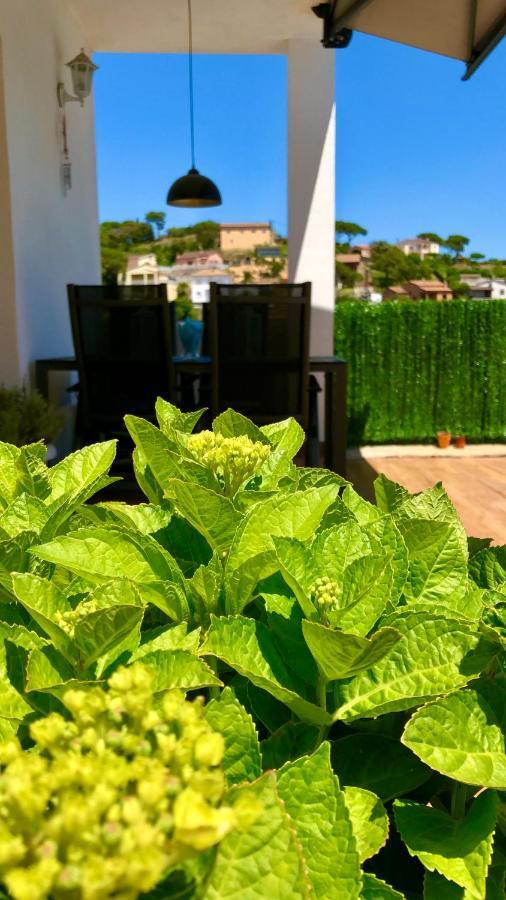 Pintoresca Habitacion, Piscina Climatizado Y Sauna *