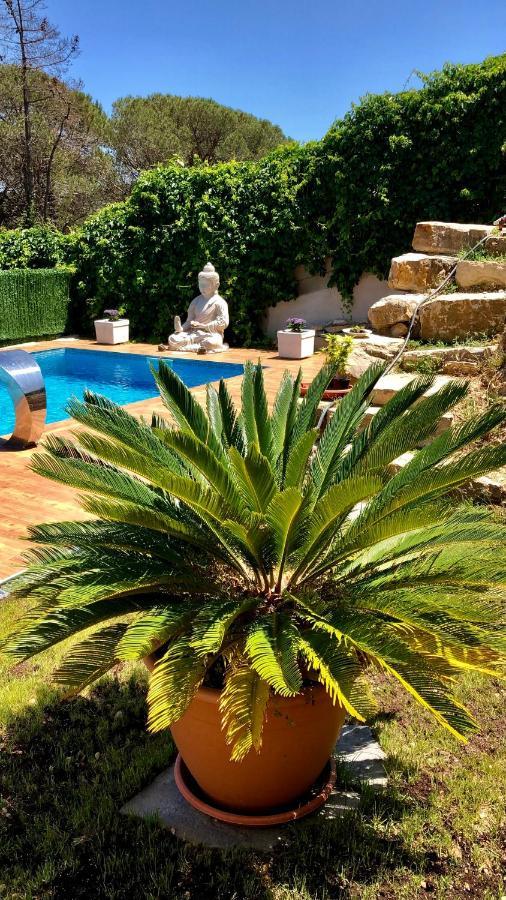Pintoresca Habitacion, Piscina Climatizado Y Sauna Homestay Massanet De La Selva