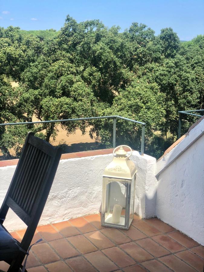Espectacular Con Piscina En * Calella De Palafrugell