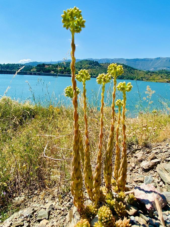 Apartamento Chenin Blanc-priorat-