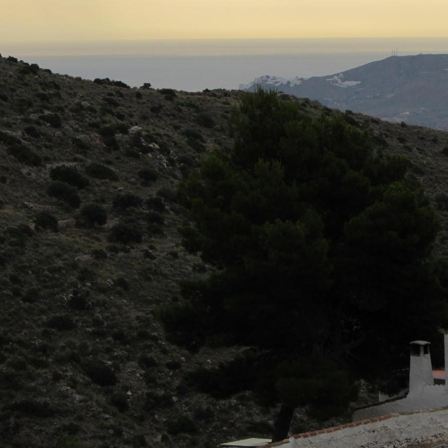 Albarico Retreat Bedar