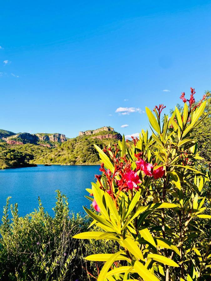Chenin Blanc-priorat- *