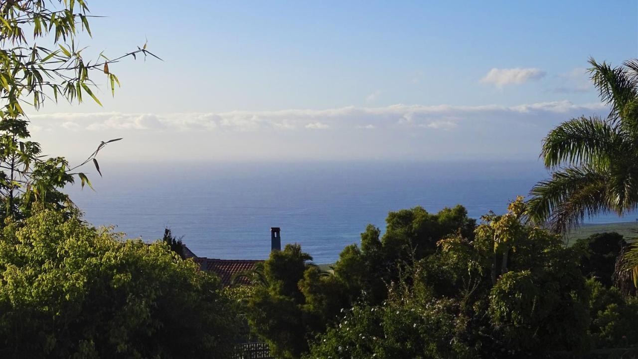 Finca Sueño La Palma
