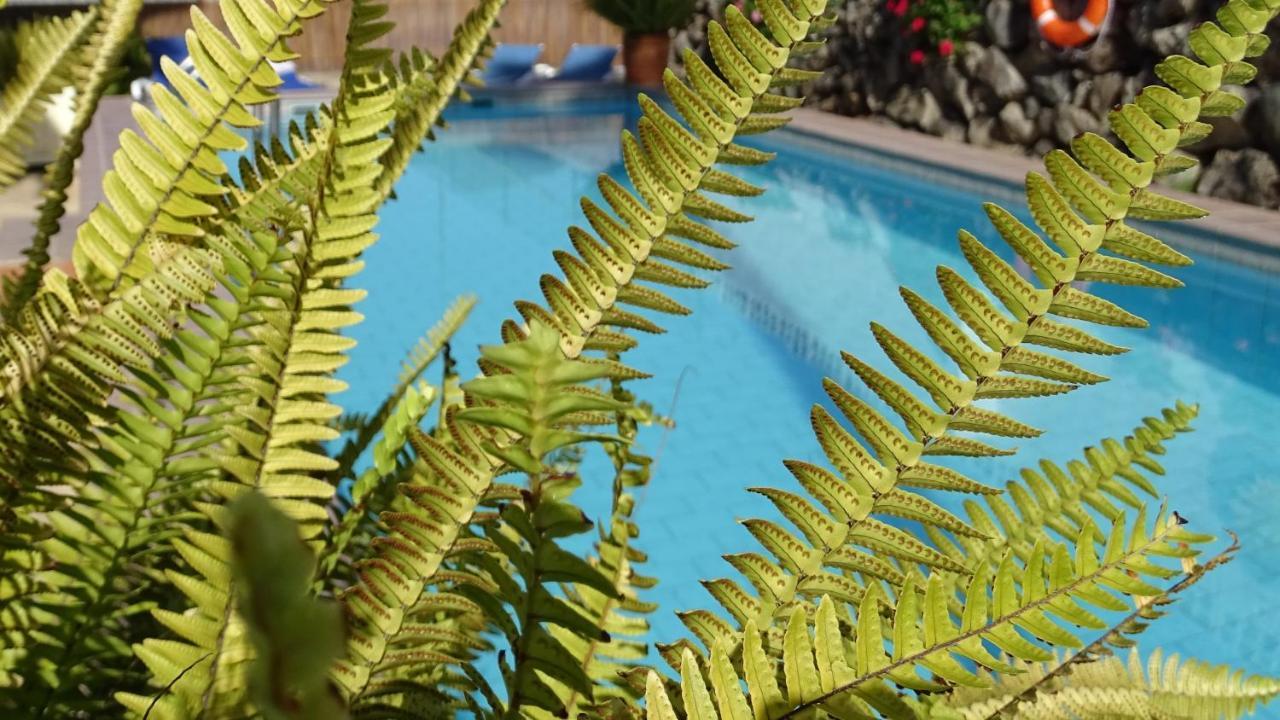 Finca Sueño La Palma Tazacorte