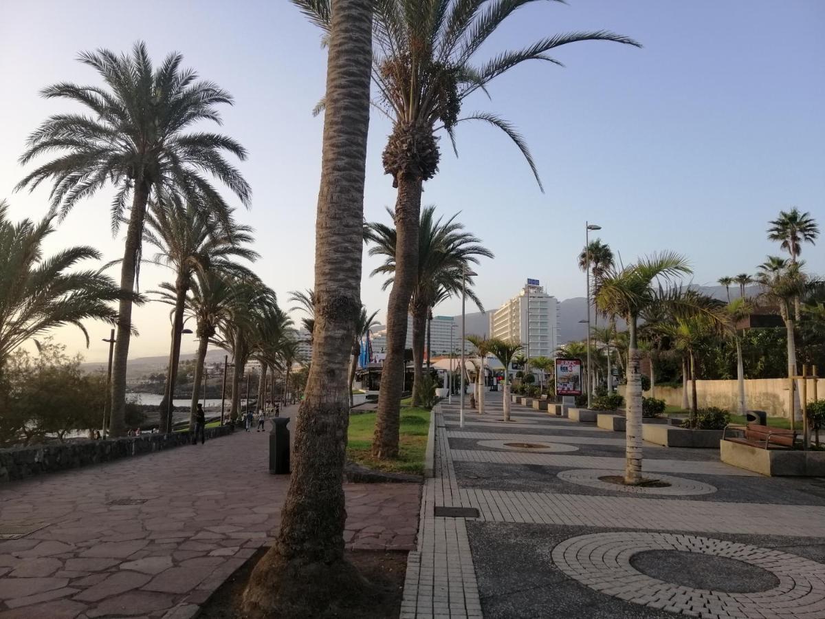 сozy In Americas * Playa Fanabe