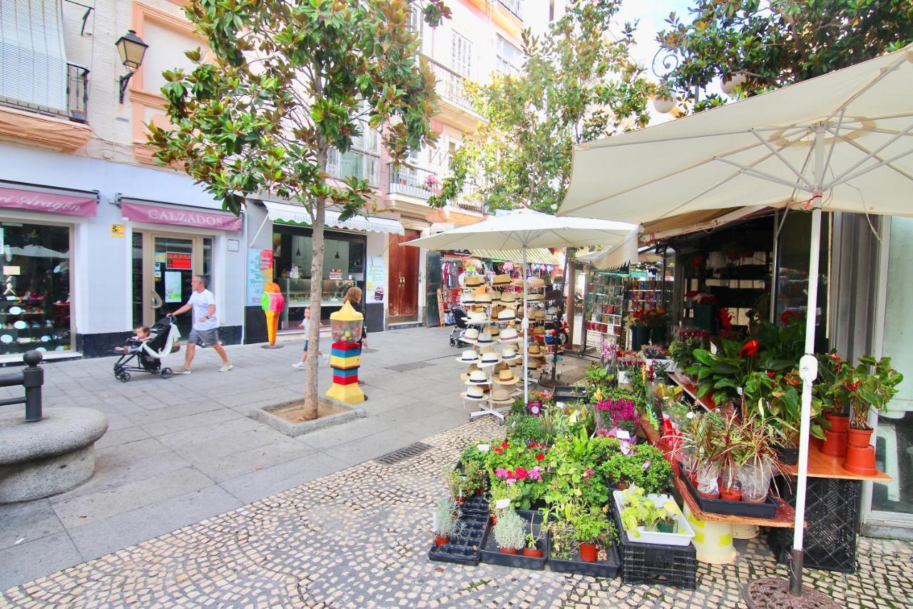 Confortable Junto Al Mercado * Cádiz