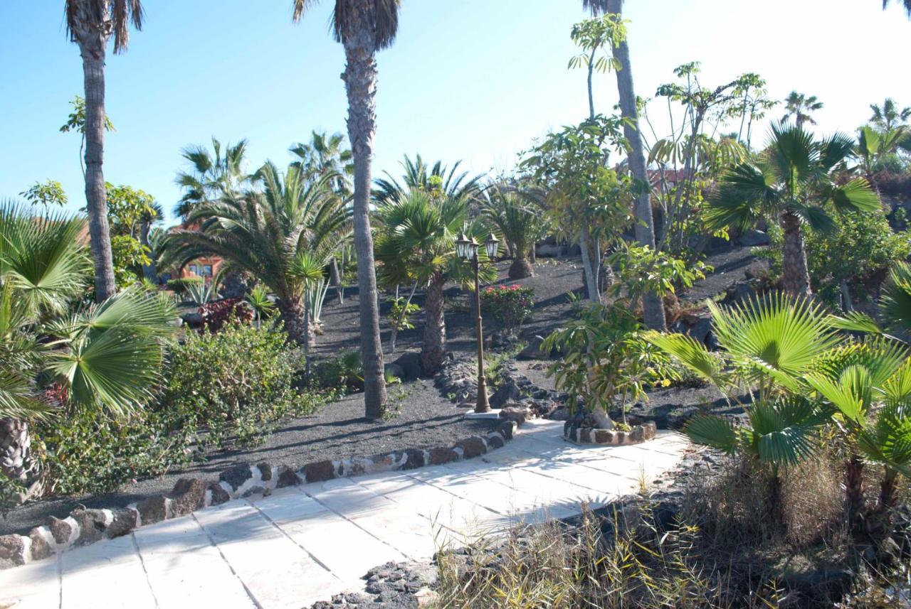 Oasis Royal 3 Piscinas - Fibra óptica Corralejo