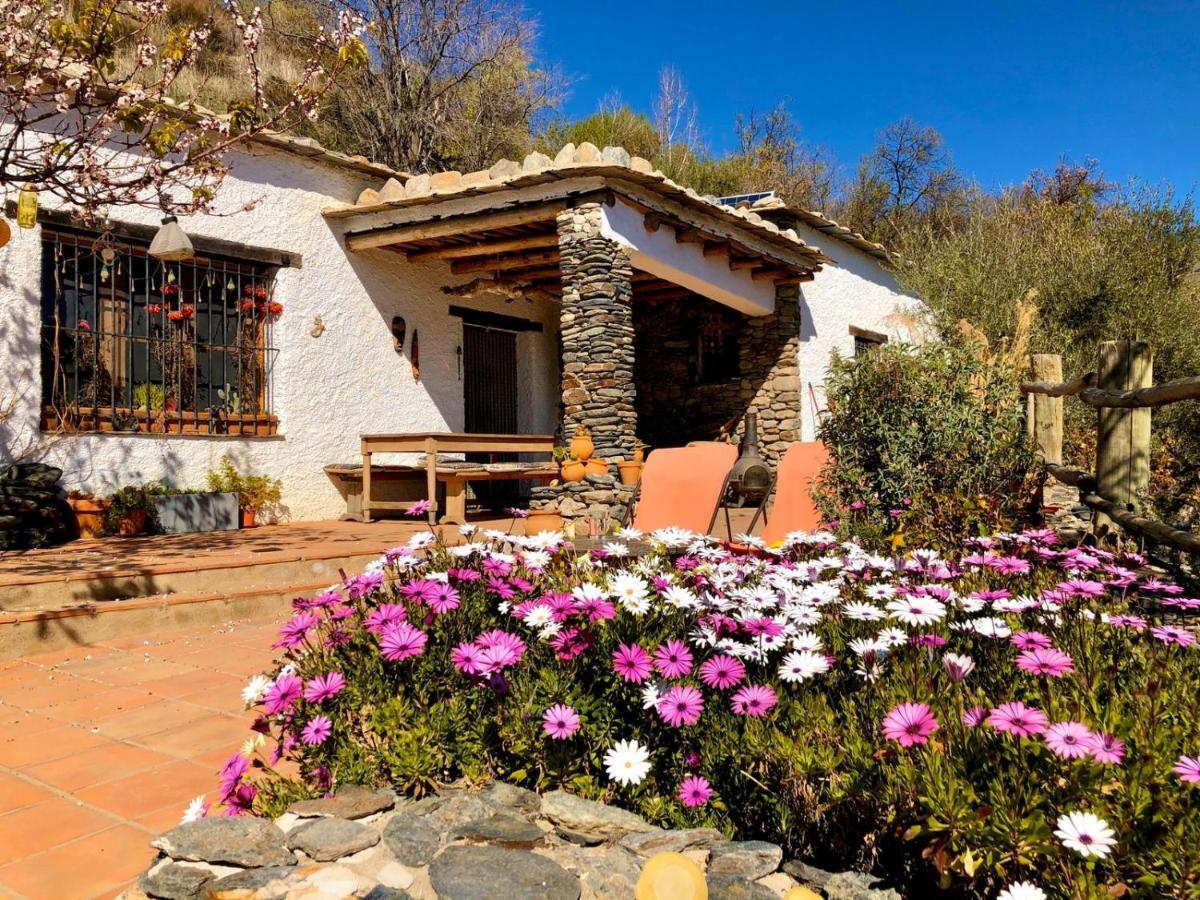 Luz Y Paz Villa