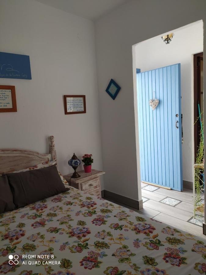 La Lectora * Vejer de la Frontera