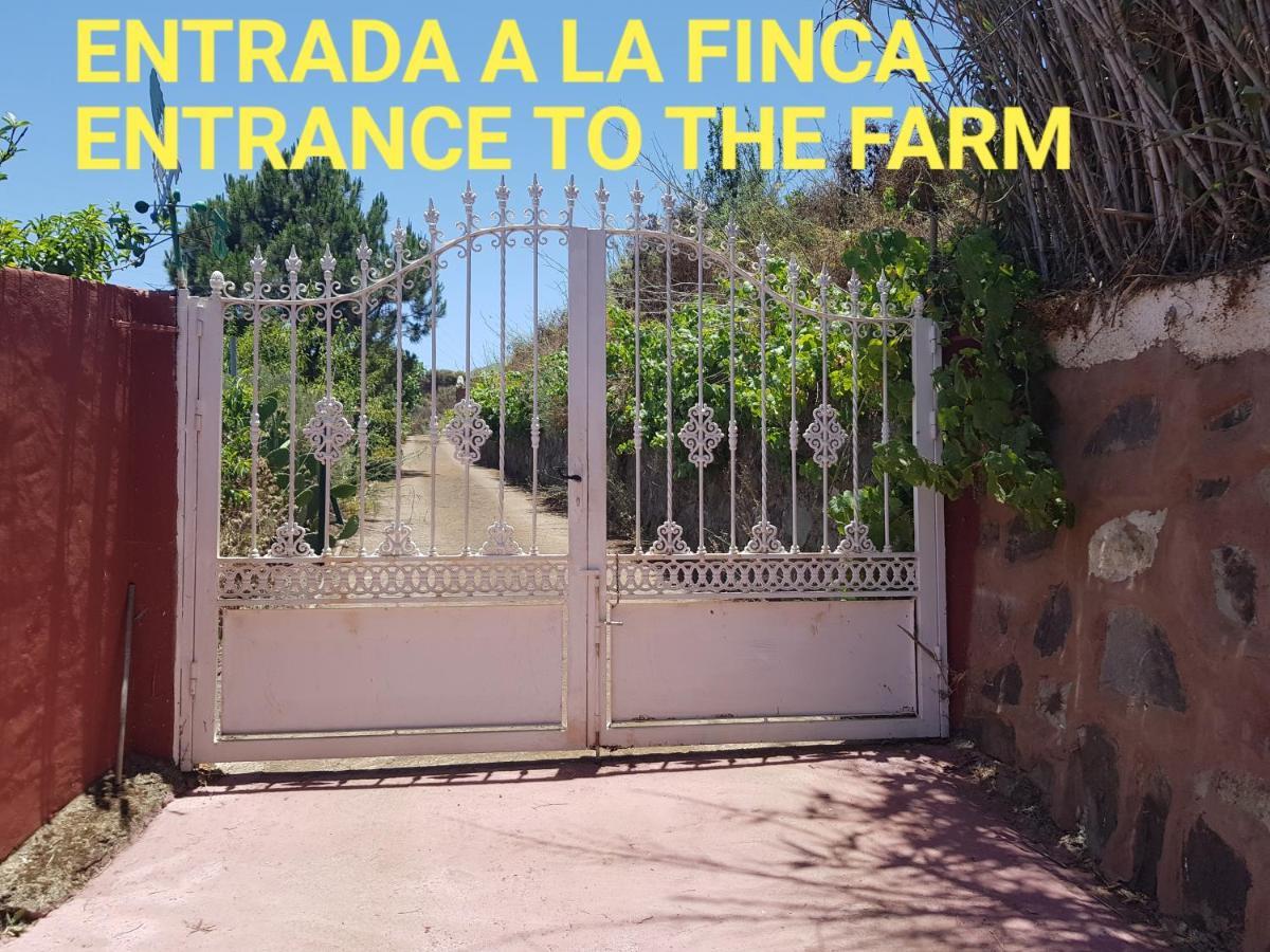 Finca Rural Torres Casas 1 Y 4 Vega de San Mateo