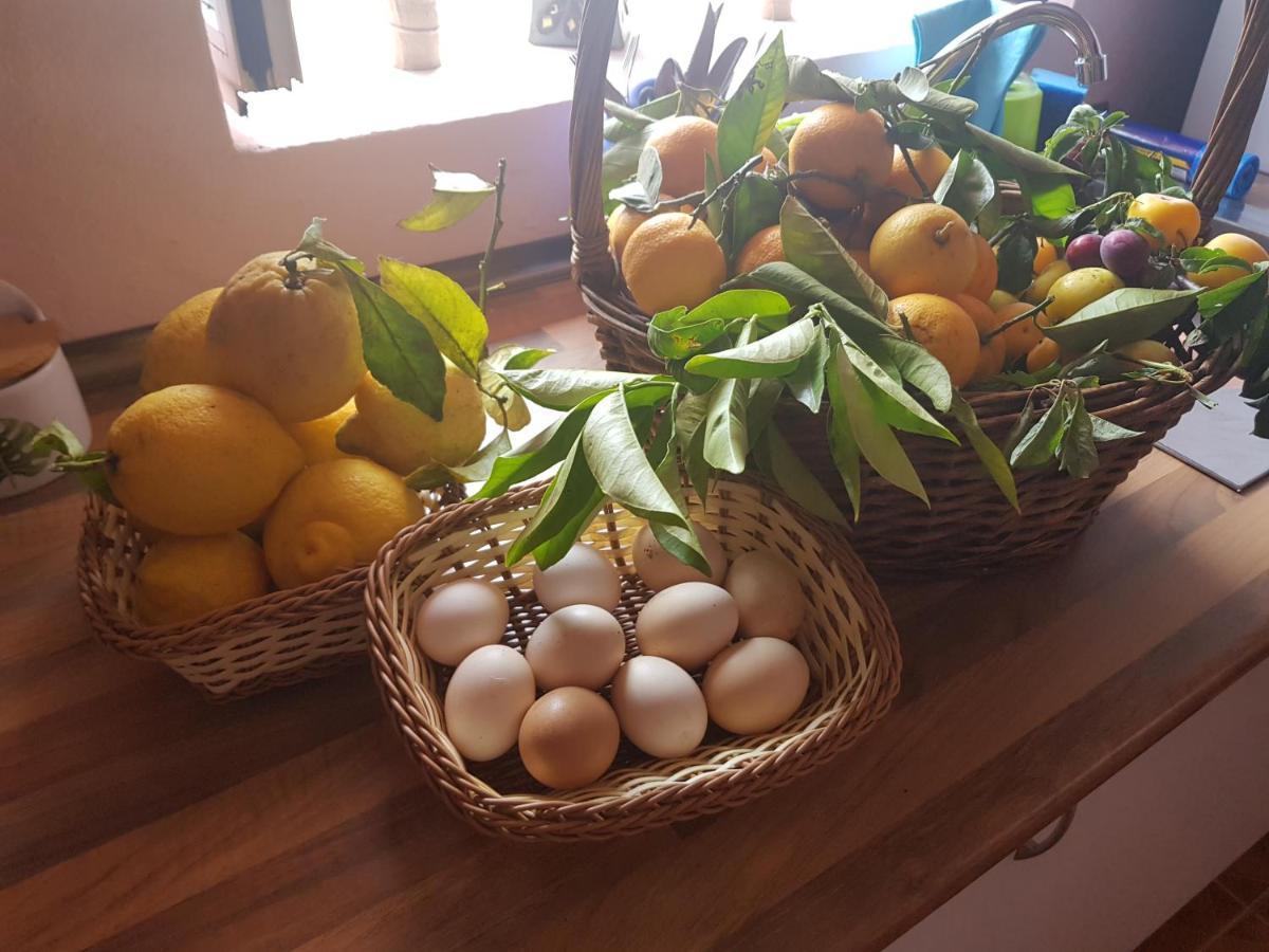 Сasa de vacaciones Finca Rural Torres Casas 1 Y 4