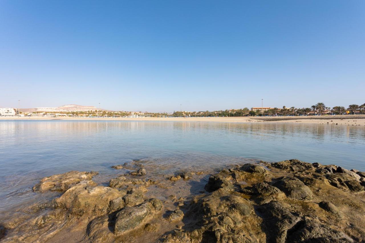 Home2book Stunning Sea Front House