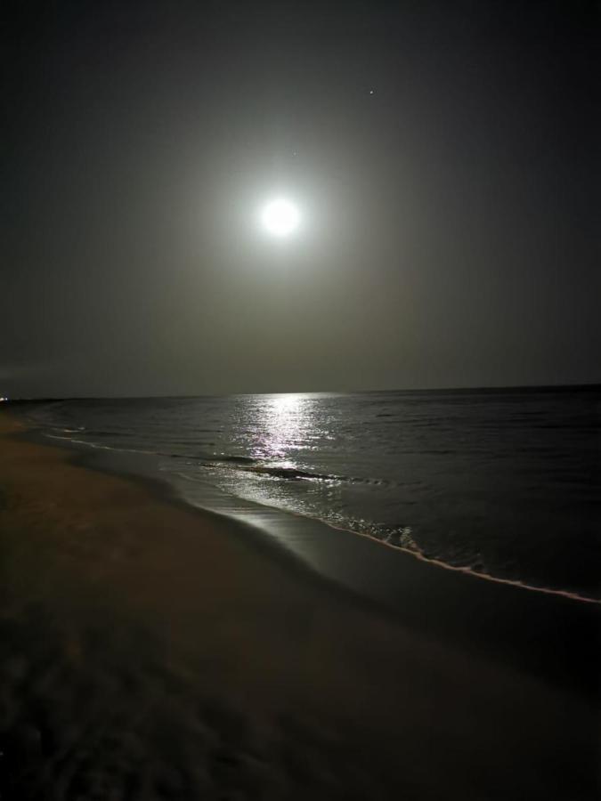 Playa Mirar In Palm Garden Apartment