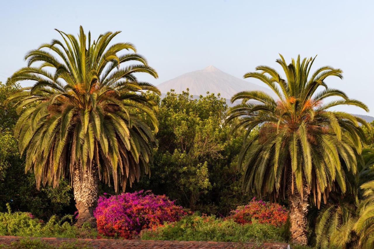 With Mount Teide And Sea Views