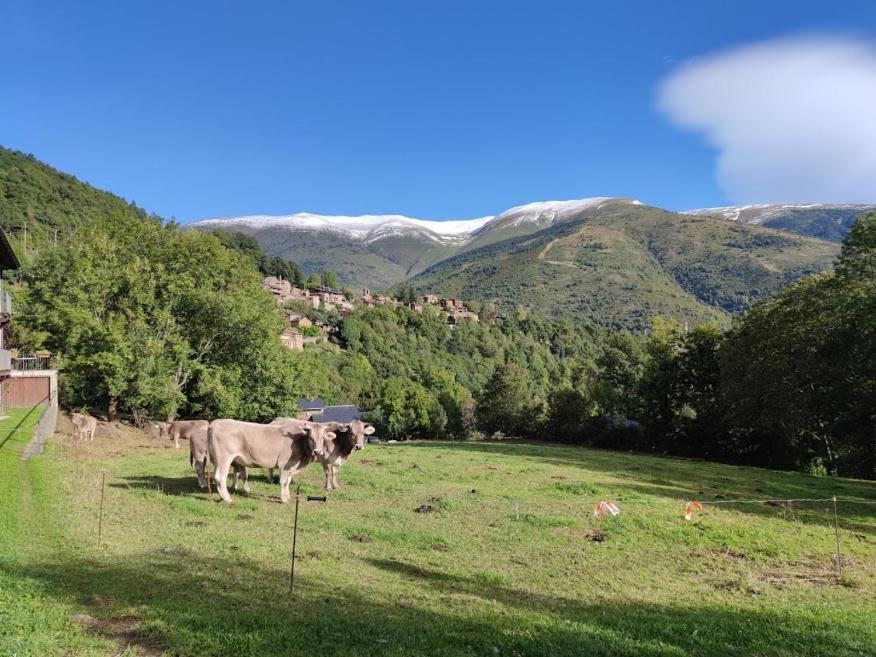Can Batista Holiday home *