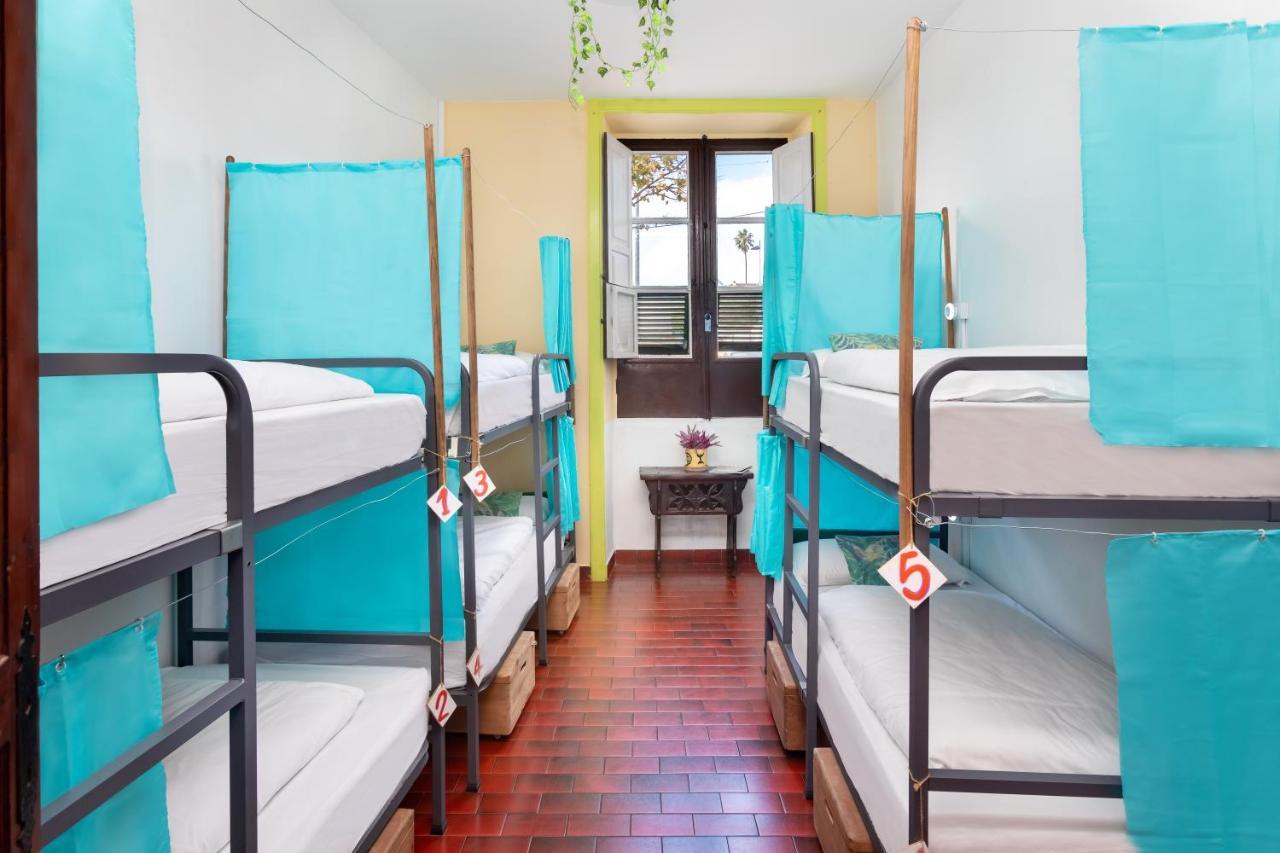 Patio (adults Only) Hostel La Laguna (Tenerife)