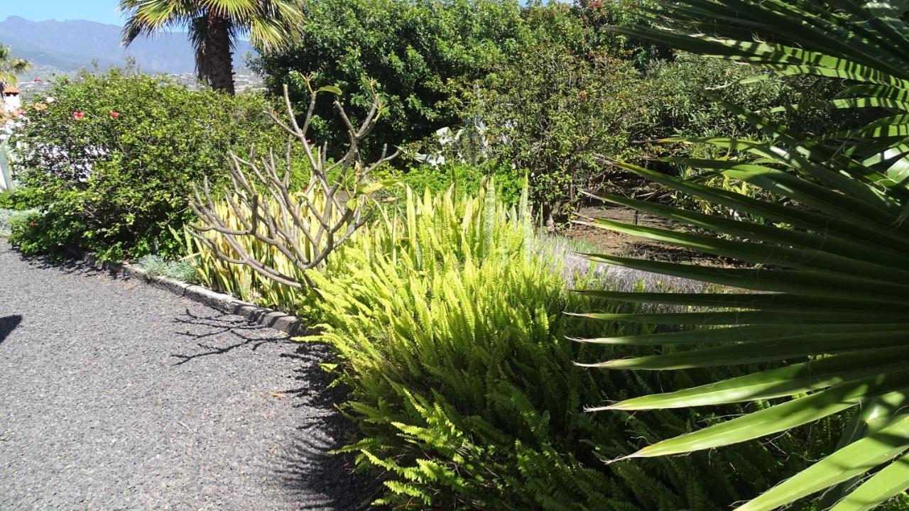 Сasa de vacaciones Finca Sueño La Palma Tazacorte