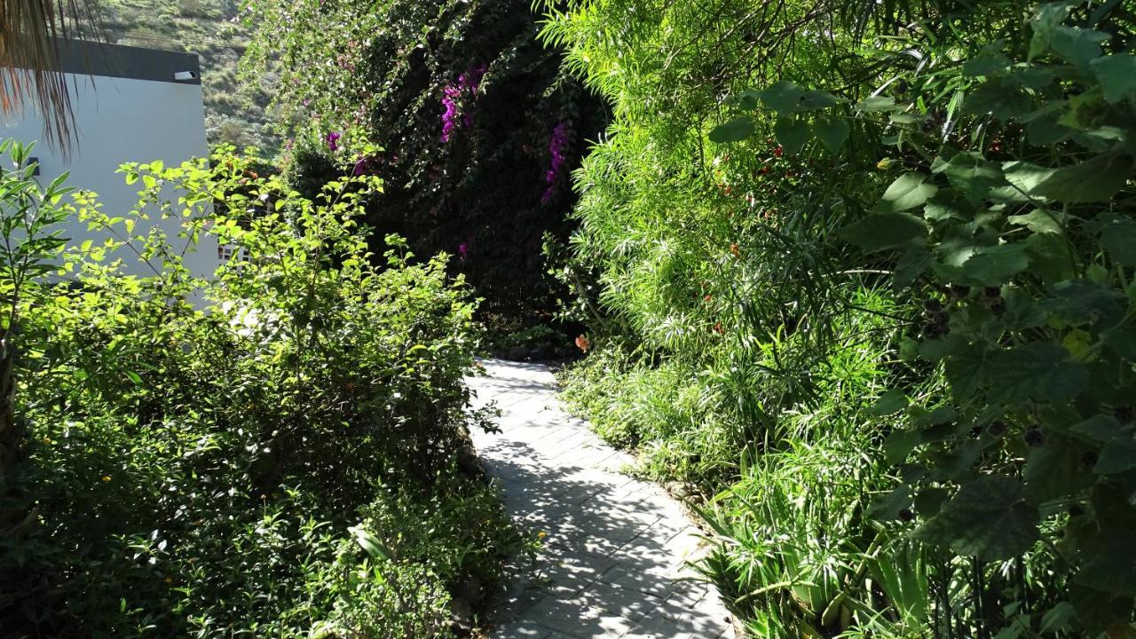 Finca Sueño La Palma Сasa de vacaciones *