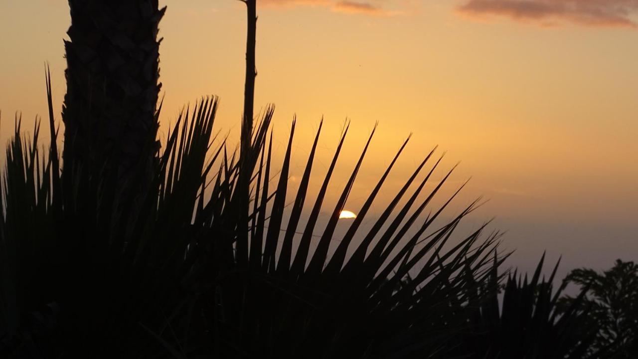Finca Sueño La Palma Сasa de vacaciones