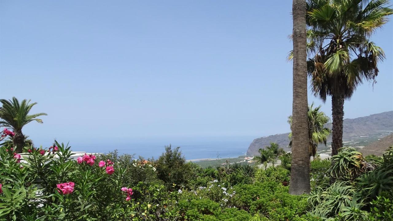 Finca Sueño La Palma