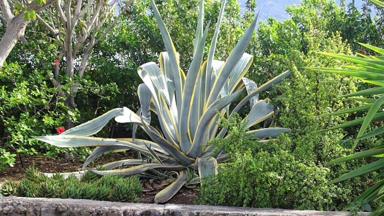 Finca Sueño La Palma