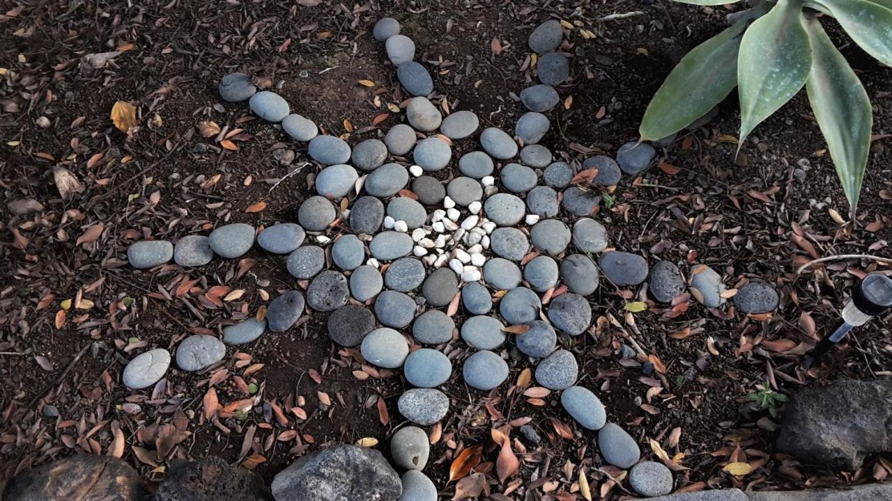 Finca Sueño La Palma Сasa de vacaciones *