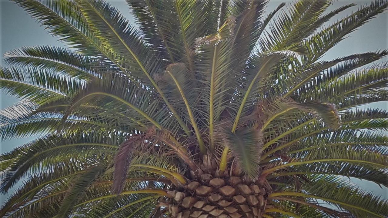 Finca Sueño La Palma Сasa de vacaciones *