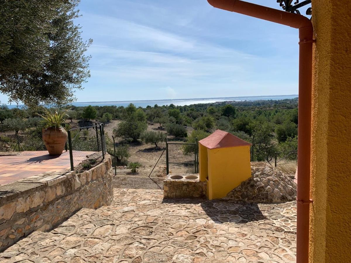 Casa Mola